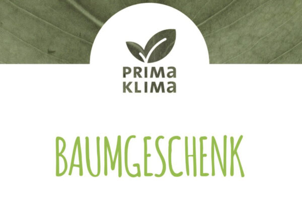 BAUMGESCHENK – Das Jobportal Yourfirm.de hat für  SCHILLER Medizintechnik GmbH 3 Bäume gepflanzt.